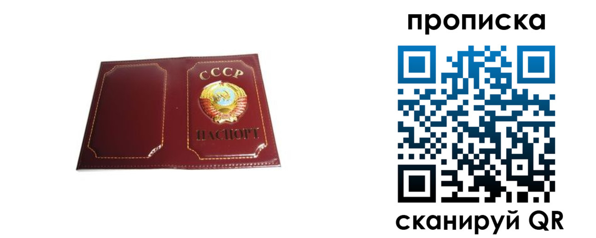 прописка гарантия в Моршанске